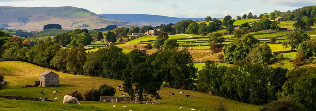 Hawes Wensleydale